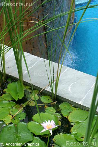The Aspasia Phuket Resort 34